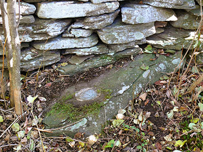 Eyelevel view of the disk, set into a small boulder underneath the rock wall.